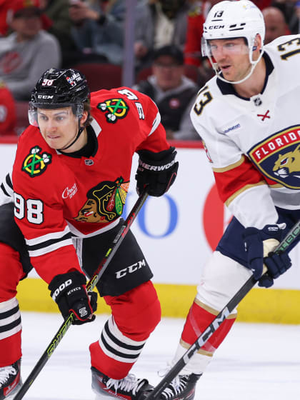 此次引援充 此次引援充