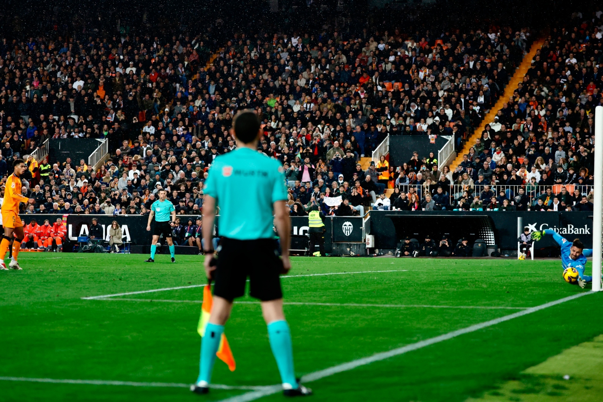 职业生涯的 职业生涯的