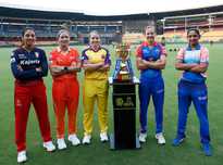 化进程迅速 化进程迅速